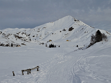 Sulle nevi dei Piani d’Artavaggio (1650 m) da Avolasio (1050 m) il 22 dicembre 2020  - FOTOGALLERY